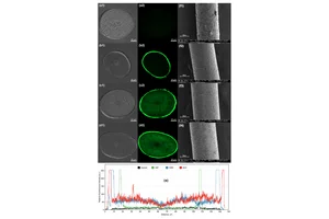 아모레퍼시픽, AI 기반 모발 케라틴 강화 펩타이드 개발