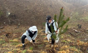 블랙야크 강태선나눔재단, 식목일 맞아 산림복원 캠페인 진행