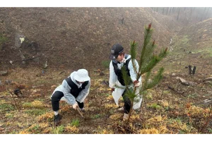 블랙야크 강태선나눔재단, 식목일 맞아 산림복원 캠페인 진행
