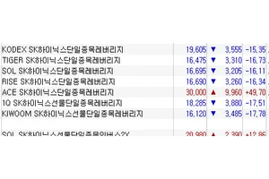 ACE SK하이닉스레버리지 49.7% 급등 마감..주문사고 가능성