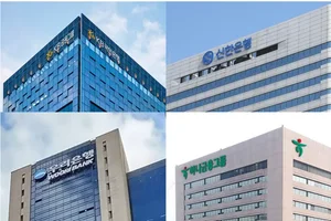 금융당국 