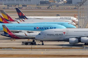 통합에 환율·전쟁에... 항공사 재무 체력 시험대 올랐다