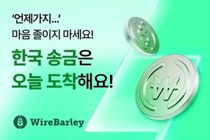 와이어바알리, 해외→한국 송금 10분 이내 구현