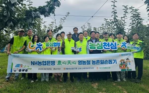 NH농협은행, 충남 아산 배농가 찾아 일손돕기