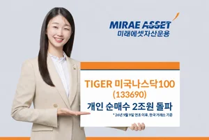 ‘TIGER미국나스닥100ETF’, 올해 개인 순매수 2조 돌파