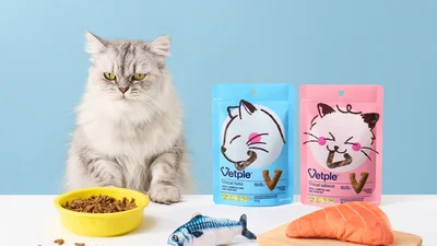 동아제약, 츄르 타입 고양이 구강 건강 2종 출시