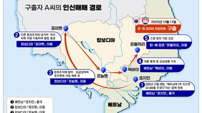 아직도 '고수익 미끼'에 속아 동남아 가는 2030 청년 있다⋯
국정원, 