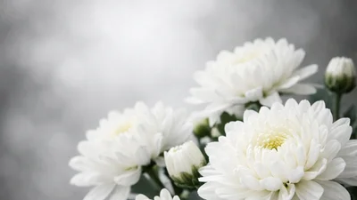 [부고] 박희윤(HDC현대산업개발 개발본부장)씨 모친상 