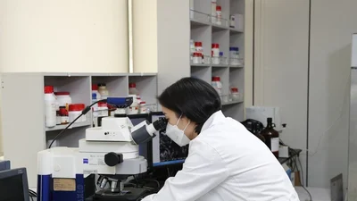 hy, 특허 유산균 ‘HY2782’ 포스트바이오틱스 효과 국제학술지 게재