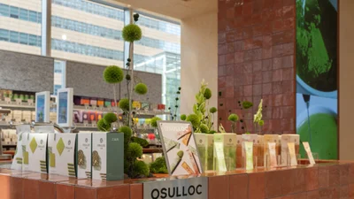 오설록, 올리브베러 ‘티 바’ 운영