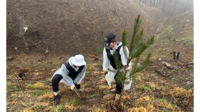 블랙야크 강태선나눔재단, 식목일 맞아 산림복원 캠페인 진행