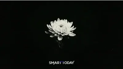 [부고] 김형조(한화호텔앤드리조트 사장) 부친상