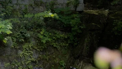 “한옥에서 웨딩·촬영까지”…청운별서, 프라이빗 대관 통한 특별한 경험 제공