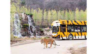 에버랜드, 사파리 리뉴얼·판다·불꽃쇼로 봄 나들이객 몰이…방문객 20% 증가