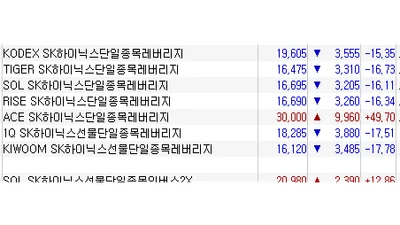 ACE SK하이닉스레버리지 49.7% 급등 마감..주문사고 가능성