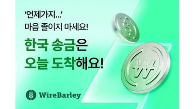 와이어바알리, 해외→한국 송금 10분 이내 구현