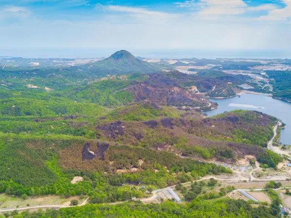 강원도 고성 도원리 산불 (사진출처: 고성군 공식 홈페이지)