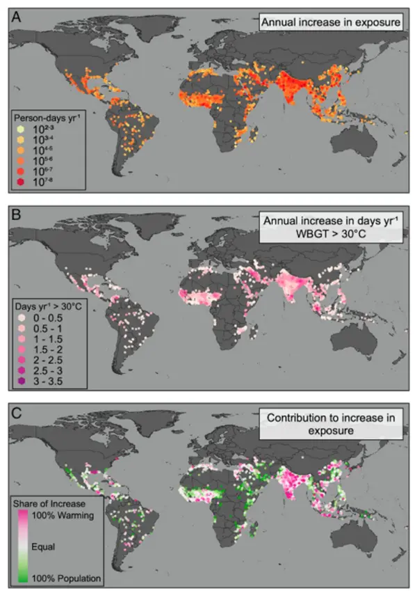 보고서 원문의 전 세계 도시 열섬 현상 측정 그래프. 사진=PNAS 홈페이지 