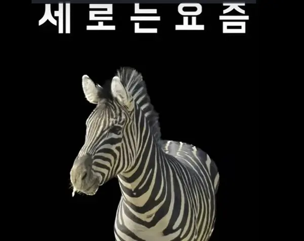 서울시설공단이 숏폼 영상 50 여편을 유투브 서시공TV를 통해 공개했다.(사진제공. 서울시설공단)