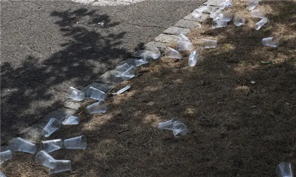  * 사진=픽사베이