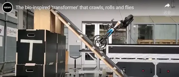 칼텍의 만능 로봇이 경사로를 기어올라가고 있다.