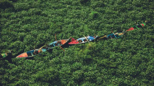  * 사진=유엔환경계획