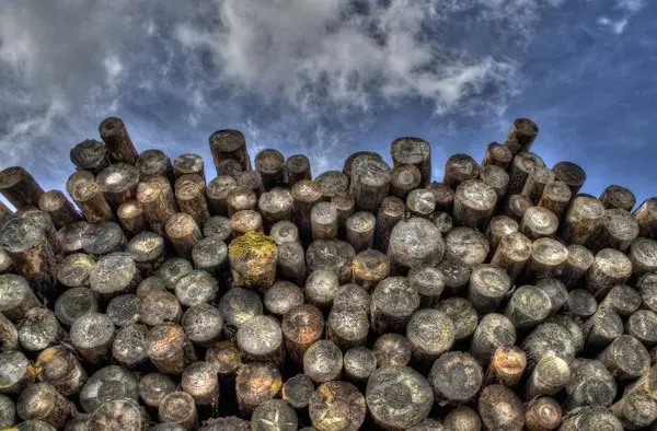 사진. 픽사베이