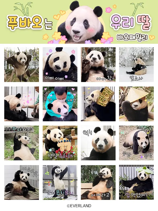 에버랜드가 3일 선보인 