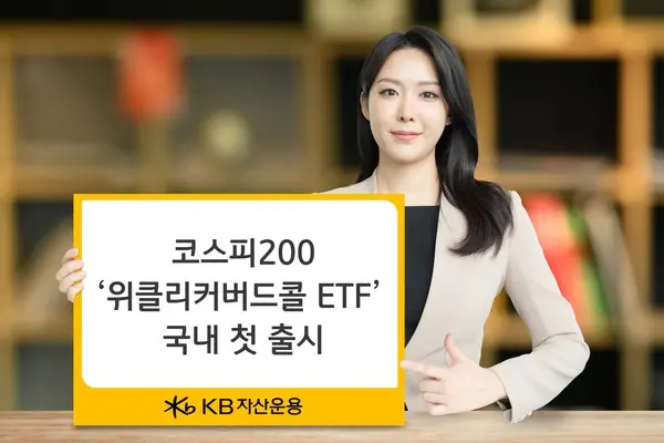 KB자산운용. 코스피200 