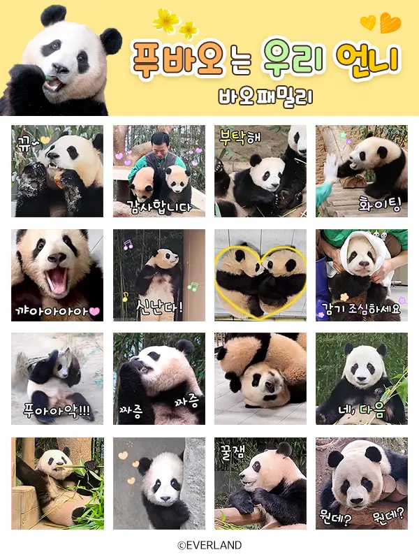 에버랜드가 13일 선보인 판다 가족 테마 카카오 이모티콘 4탄 