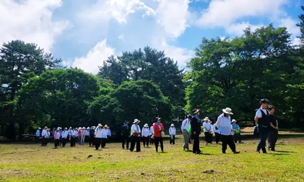 해인사 명상프로그램에 참여한 사람들이 걷기 명상을 하고 있다. (사진제공. 지음 메디테이션)