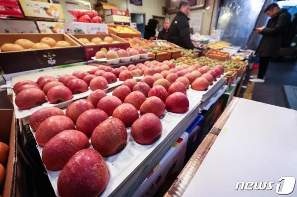 서울 송파구 가락농수산물도매시장에 사과가 진열돼 있다. 2024.3.12/뉴스1 ⓒ News1 김민지 기자