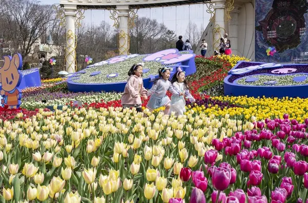 에버랜드 튤립축제를 찾은 고객들이 산리오캐릭터즈 테마 튤립정원을 즐기고 있다.