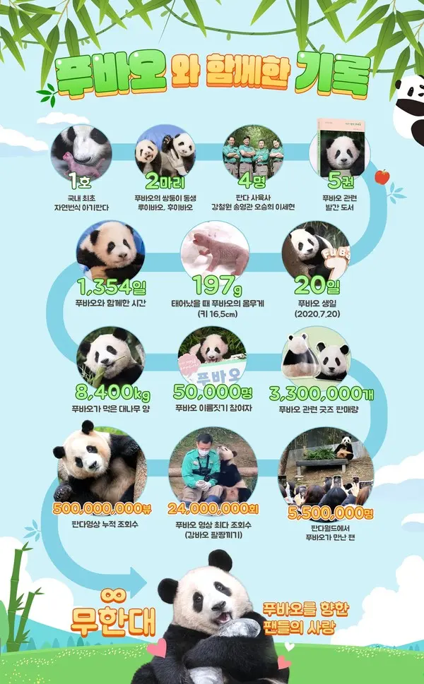 푸바오와 함께한 기록