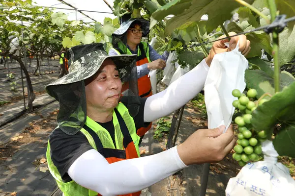 NH투자증권이 지난 14일 