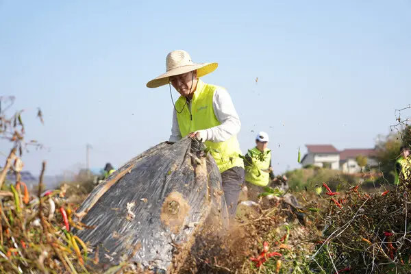 이석용 NH농협은행장이 지난 30일 경기도 파주시 고추 농가에서 폐비닐을 수거하고 있다. [출처: NH농협은행]