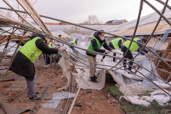 무너진 비닐하우스를 철거하는 NH농협은행 직원들 [출처: NH농협은행]