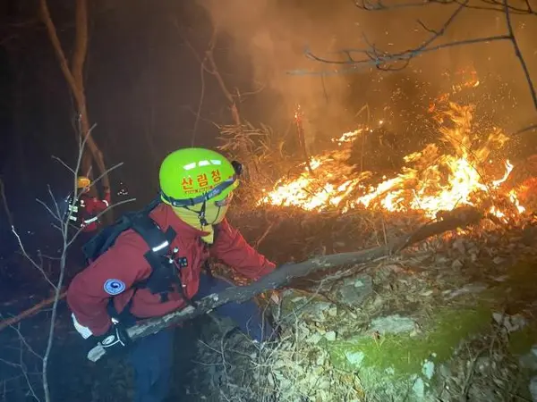 산림청 공중진화대 및 산불재난특수진화대가 26일 밤 산청군 시천면 동당리(산불 상황도 17번 구역)에서 민가 및 지리산을 지키기 위해 사투를 벌이고 있다. (산림청 제공.재판매 및 DB금지)/뉴스1