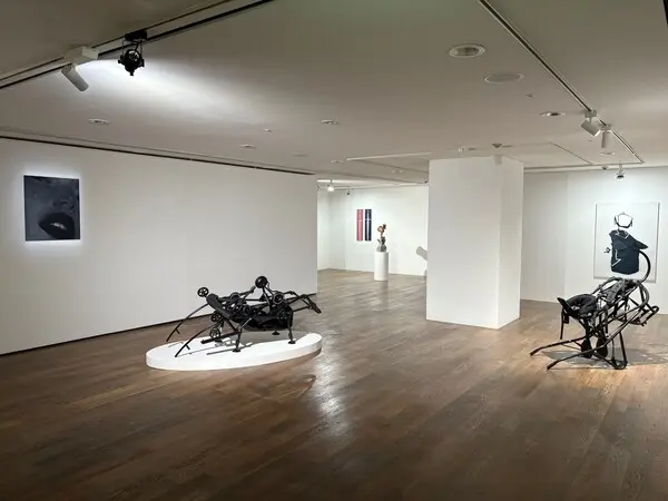 2025 신한 영 아티스트 페스타의 첫 번째 전시회가 오는 3일부터 5월 16일까지 서울 강남구 역삼동 신한 갤러리에서 열린다. [출처: 신한은행]