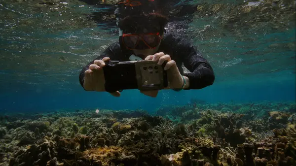 삼성전자가 해양 보호를 위해 갤럭시 카메라 기술을 활용한 해양 생태계 복원 프로젝트 