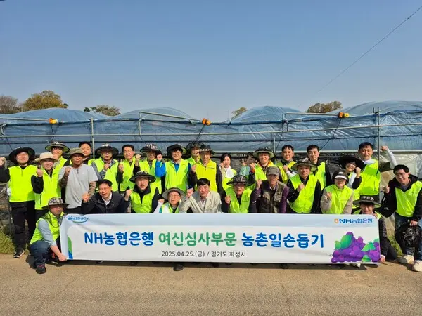 25일 경기도 화성시 송산면 고포리 소재 포도 농가에서 농협은행 김성훈 부행장(첫줄 가운데)을 비롯한 여심심사부문 임직원이 농촌 일손 돕기 봉사 후 기념사진을 촬영했다. [출처: NH농협은행]