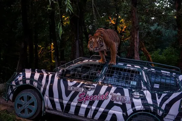 에버랜드 야간 맹수 탐험 프로그램 