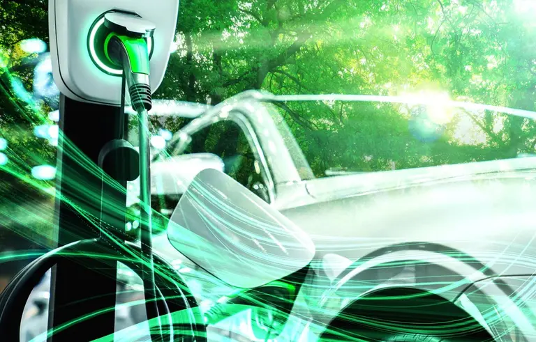 사진: 셔터스톡