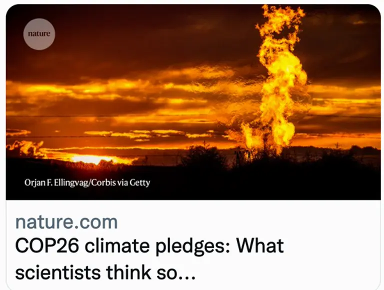 사진: 네이처 트위터 계정 캡처