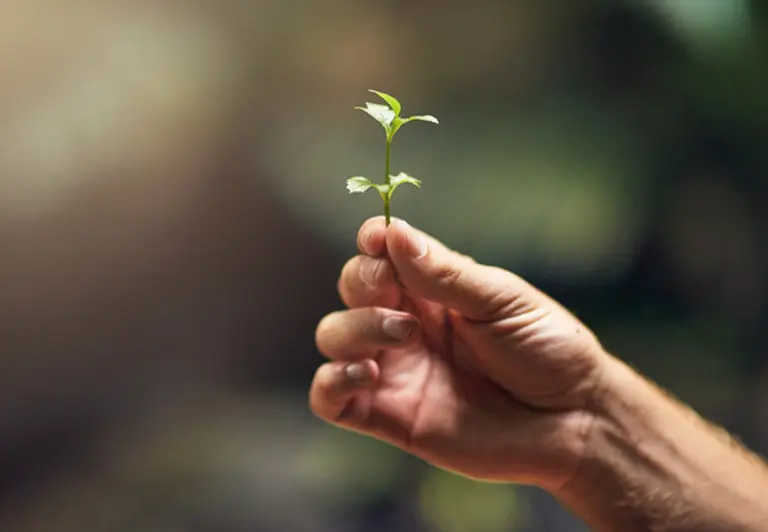 사진=게티이미지