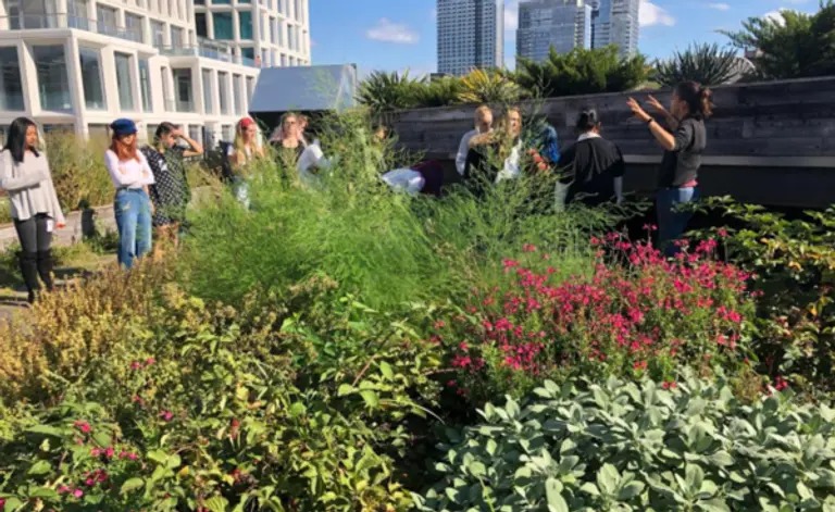 녹색 지붕으로 꾸며진 브루클린의 한 빌딩. 사진 = 캐리연구소 홈페이지