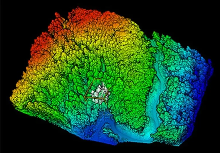 사진: 국립산림과학원