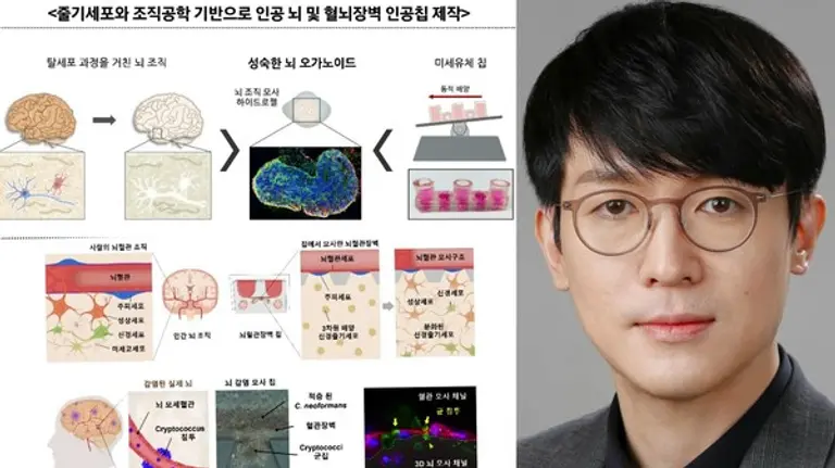 자료·사진: 과기정통부