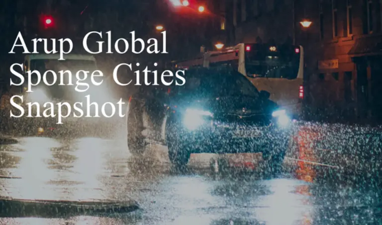에이럽이 발표한 글로벌 스펀지 시티 보고서. 사진=에이럽 보고서