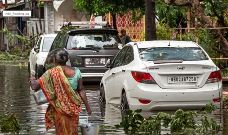 지구온난화가 생태계를 심각하게 위협하고 있다. 기회의 창은 더욱 좁아졌다. 사진=세계자원연구소